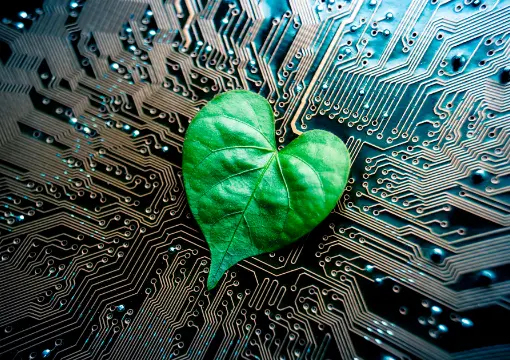 乐竞体育app案例